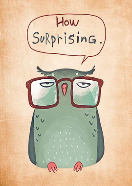 owl cute animal
