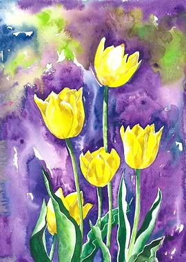 Yellow Tulips