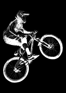 Bicycle mountain bike road