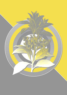 New Year Flower Yellow