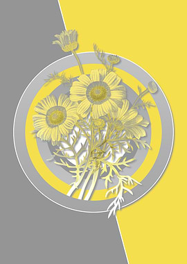 Gray Yellow Chrysanthemum