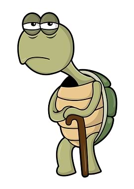 Old Turtle Pensioner