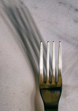 Fork and shadow