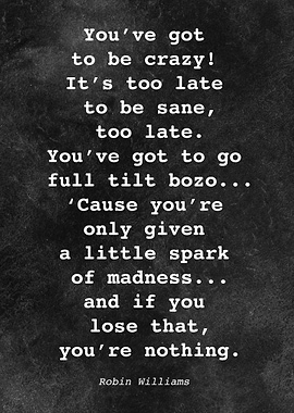 Robin Williams Quote D028