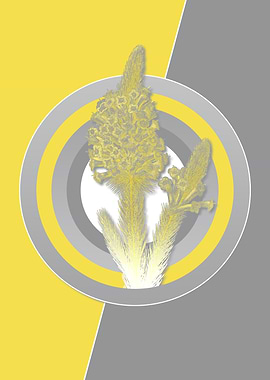 Gray and Yellow Flower Art