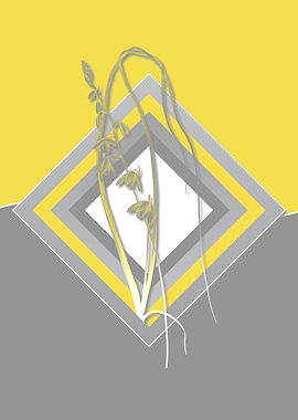 Gray and Yellow Albuca Art