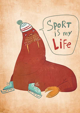 seal sport