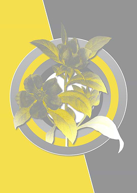 Gray and Yellow Floral Art