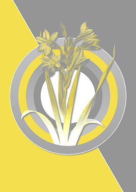 Yellow and Gray Gladiolus