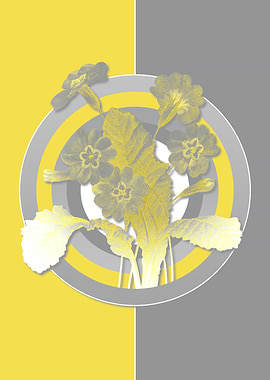 Gray and Yellow Flowers