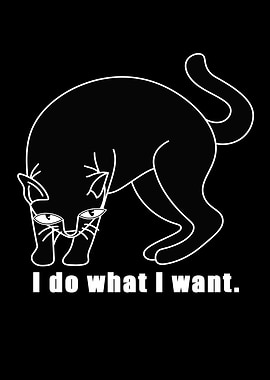 I Do What I Want Cat