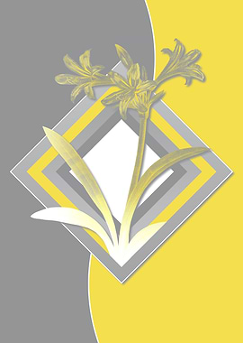 Grey and Yellow Amaryllis