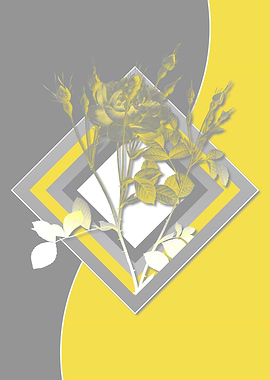 Grey and Yellow Briar Rose