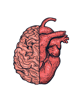 Heart and Brain