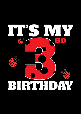 3rd Birthday Ladybug