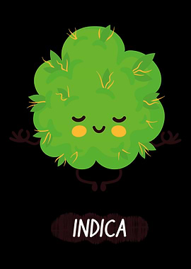 Yoga Joga Namaste Cat Dog