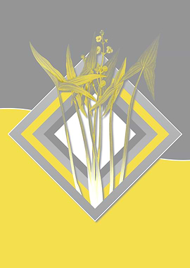 Grey and Yellow Arrowhead