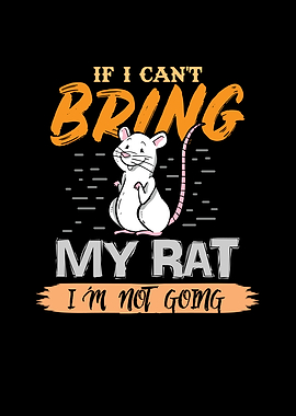 If i cant bring my rat