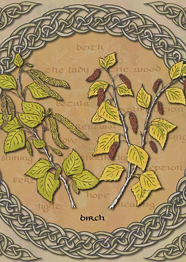Celtic Birch