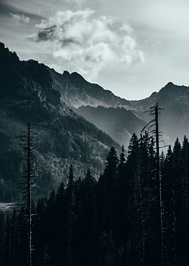 Sunrise in the valley