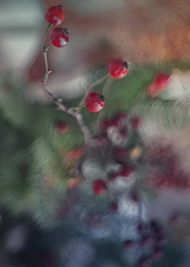 christmas composition