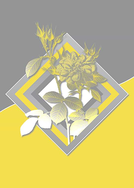Yellow and Gray Roses Art