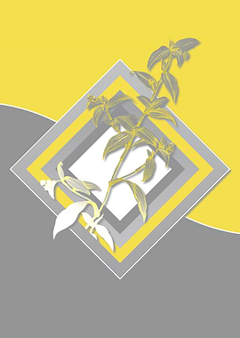 Gray and Yellow Dayflower