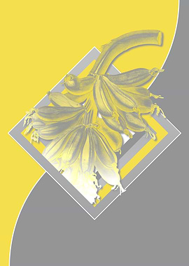 Yellow and Grey Banana Art