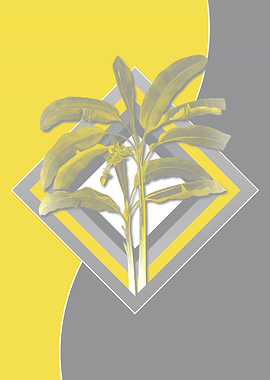 Yellow and Grey Banana Art