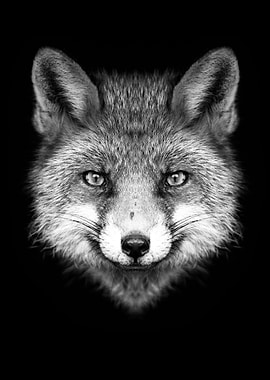 red FOX head black white