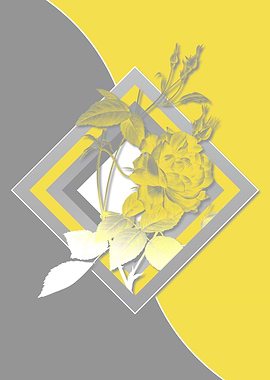 Gray and Yellow Rose Flora