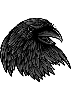 Rise of the Raven
