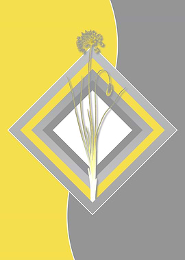 Grey and Yellow Onion Buds