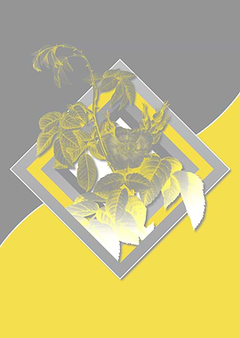 Yellow and Gray Roses Art