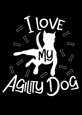 Agility Agility Dog
