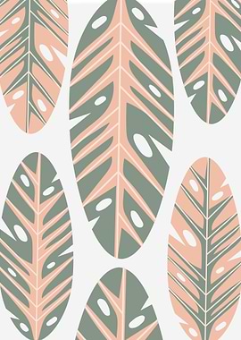 Soft leaf ilustration