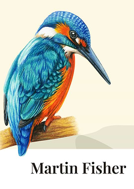 Martin Fisher Bird