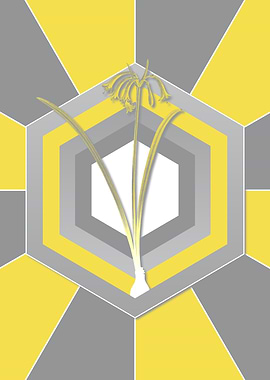 Gray and Yellow Flowers