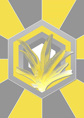 Gray and Yellow Boat Lily