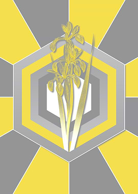 Gray and Yellow Flowers