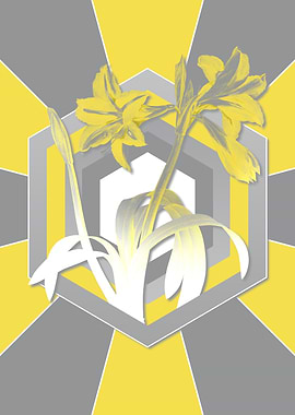 Gray and Yellow Flowers