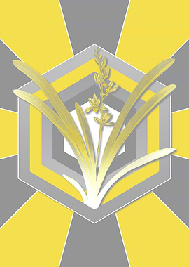 Gray and Yellow Orchid