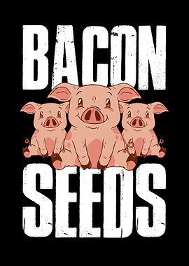 Bacon Seeds