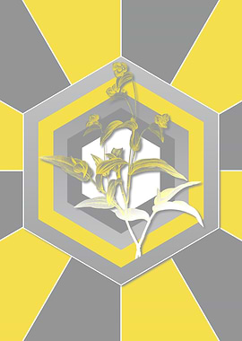 Gray and Yellow Flowers