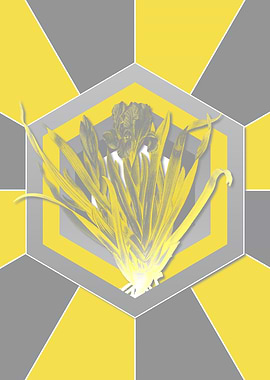 Yellow and Gray Iris Flora