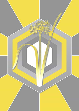 Yellow and Gray Daffodil