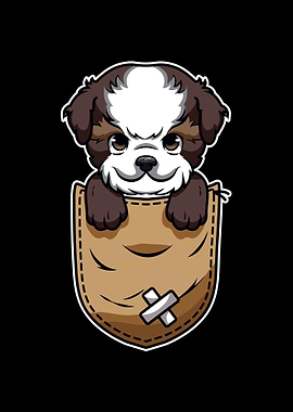 Shihtzu