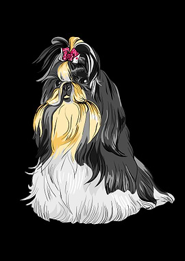 Shihtzu
