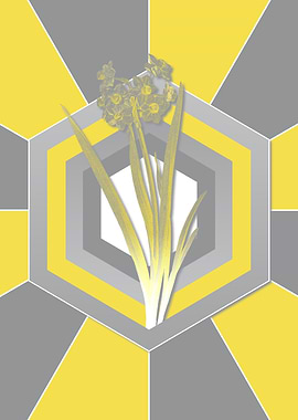 Yellow and Gray Daffodil