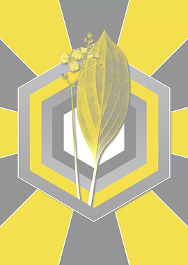 Yellow and Gray Arrowhead